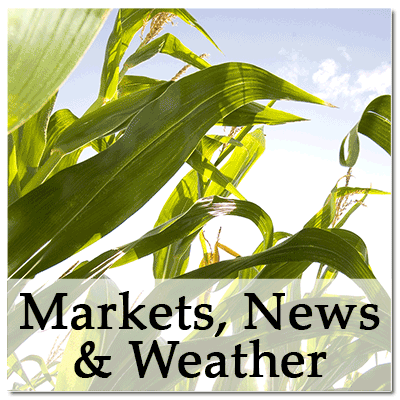 Markets, News & Weather
