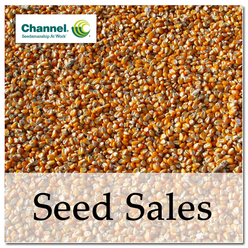 Seed Sales
